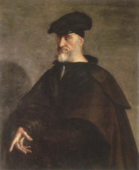 Sebastiano del Piombo portrait of andrea doria oil painting picture